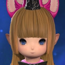 Donut Lumi