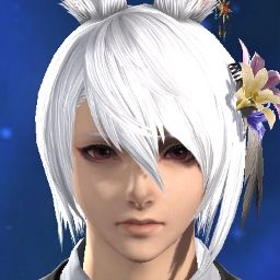 Bell Aster