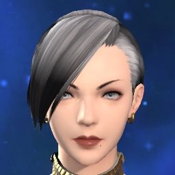 Housing Alt