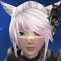 image du perso d'AAMU LUMI dans FFXIV