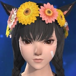 Fem Cel