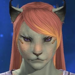 Malleastrum Vennam