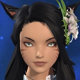 Wulffgang Blackgard