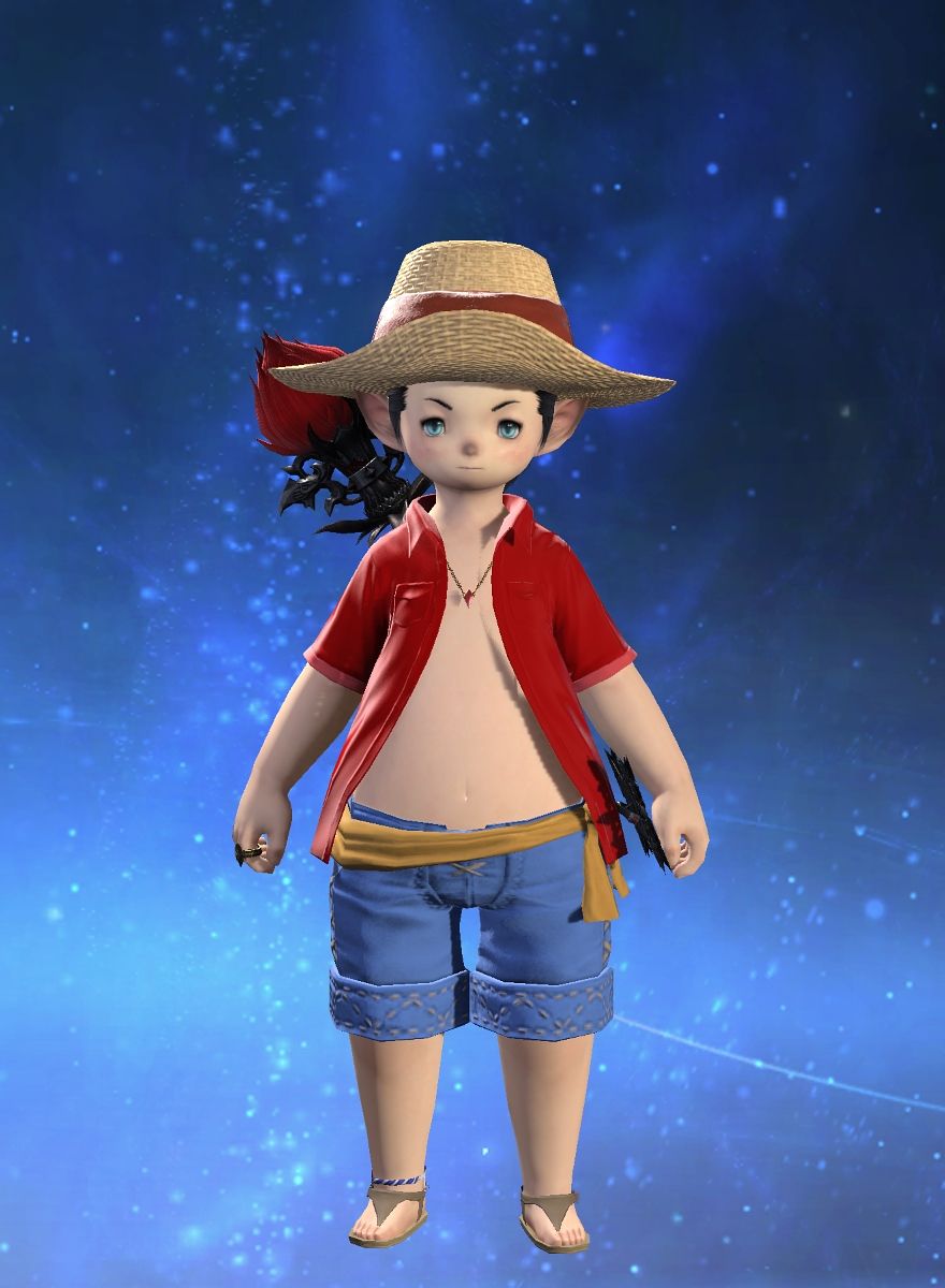 Wind-up Luffy