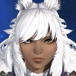 Aster Celeste