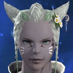 Katt Egonoki