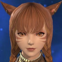 Toffee Cat