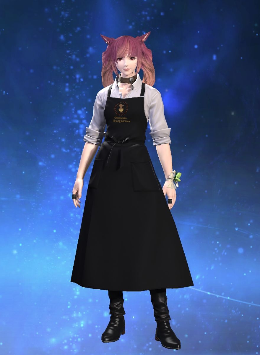 Suzaku Kudanshita