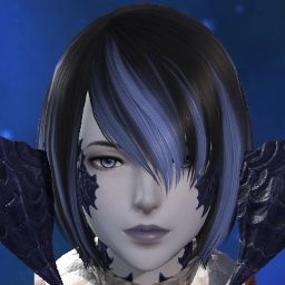 Dutchea Mikoto