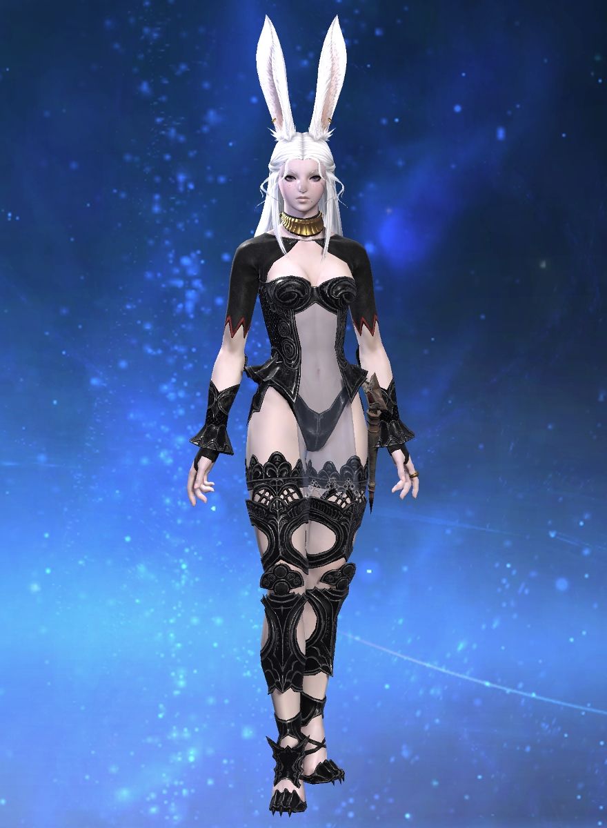Albino Rabbit