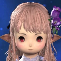 Nieco Amane