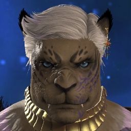 Im Cat