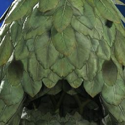 Basil_Buffheart's Avatar