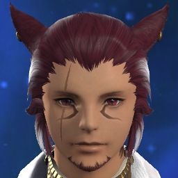 Vladimir Meowntion