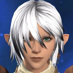 Elfen Ferret