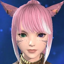 Bimbo Miqo