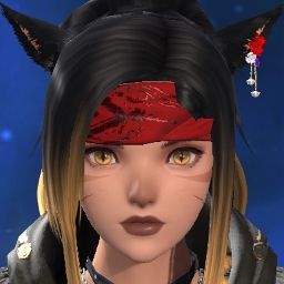 Dell Swiftfur