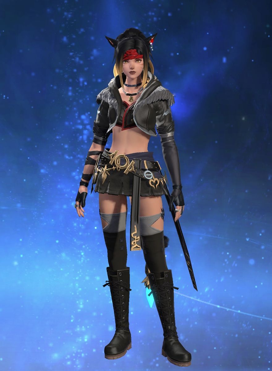 Dell Swiftfur