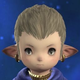 Grumpiester Popoto