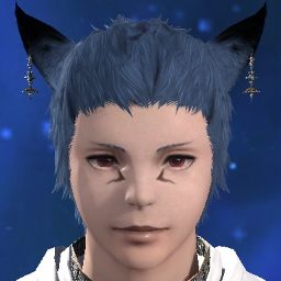 Kaito Tukikage