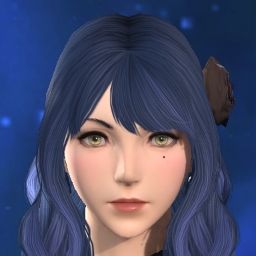 SelkieCoat's Avatar