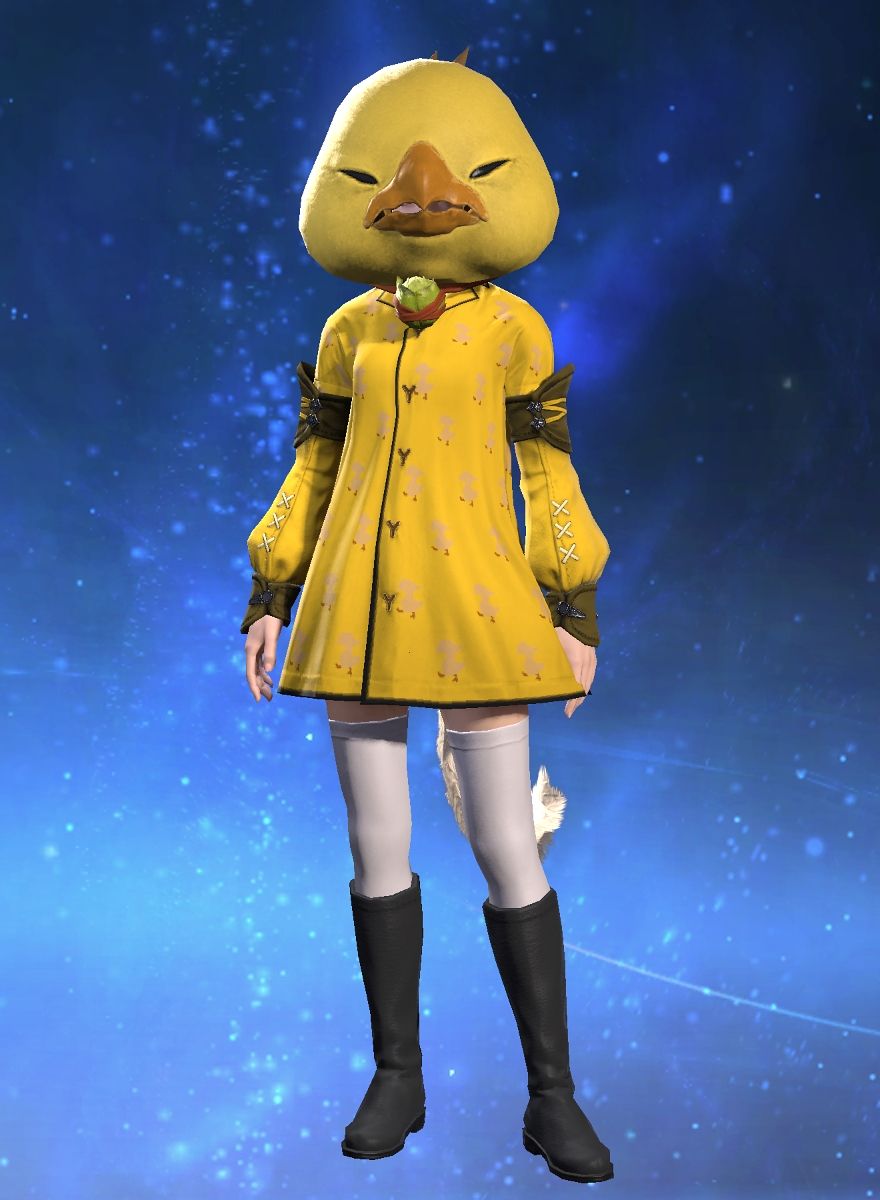 Obi Tiny'chocobo