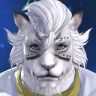 Mattyeo-Kanperu's Avatar