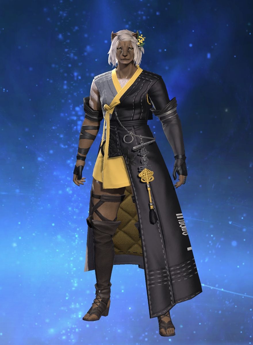 Han Tyumi