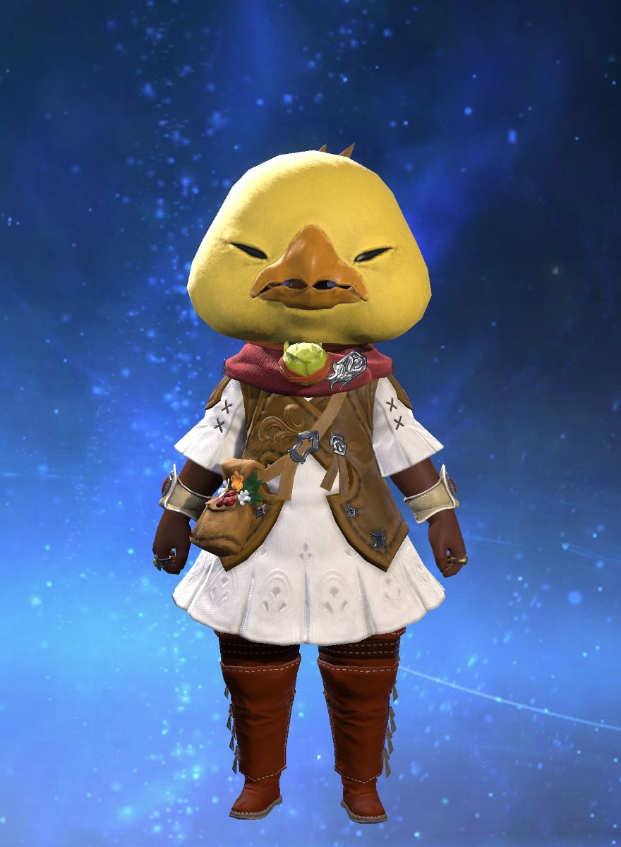 Doctor Aloha