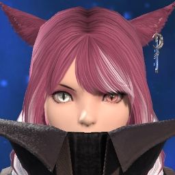 Kitten Darkstorm