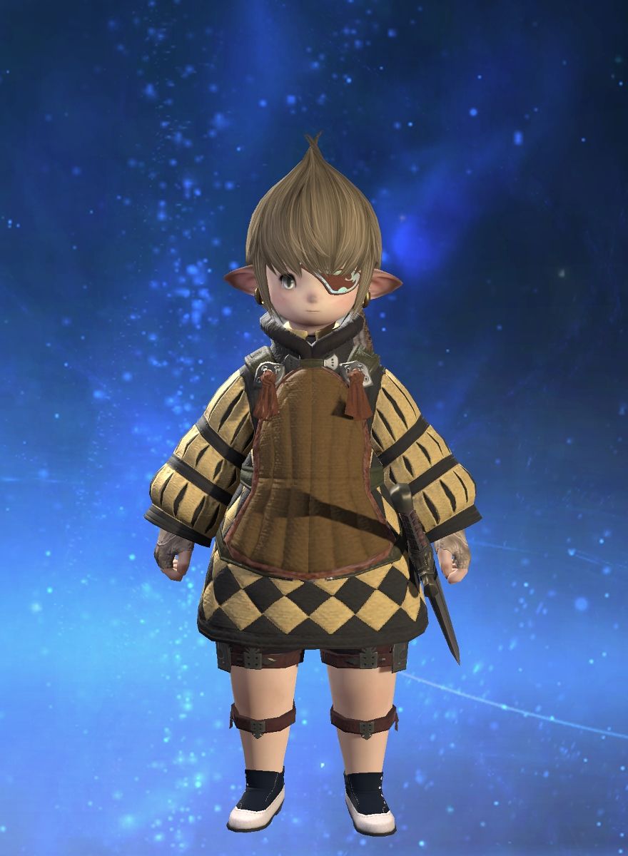 Punk Achien