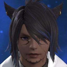 Blitx Wolf