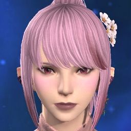 Misspink Panda