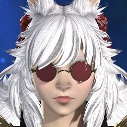 Faux Foixewesfv