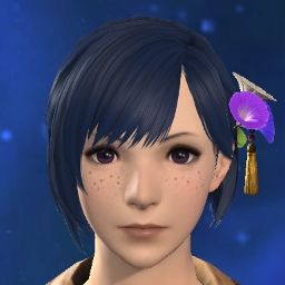 Fiagandr's Avatar