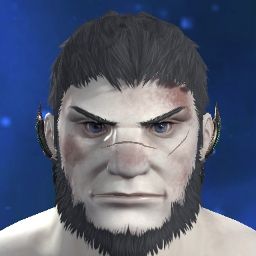 Elvarno Risatyppi