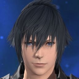 Noctis Noct