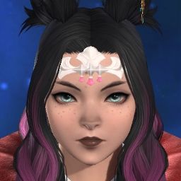 Cherry Blossoms