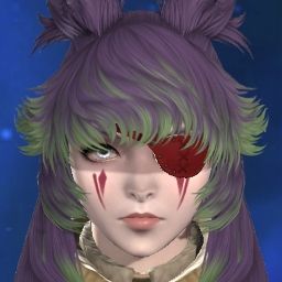 Aster Sophie
