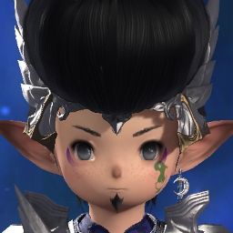 Leir Cbt