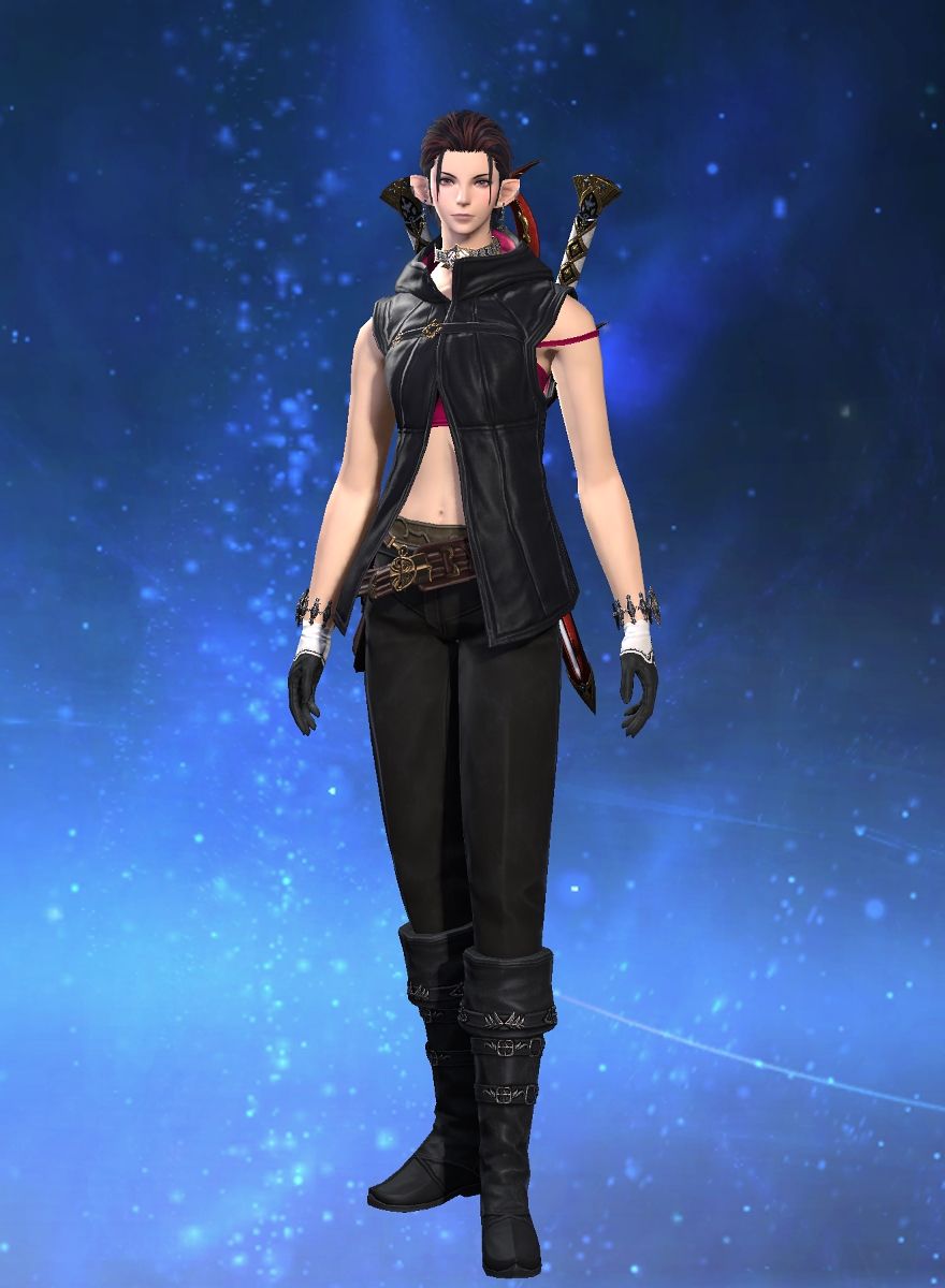 Celestial Fox