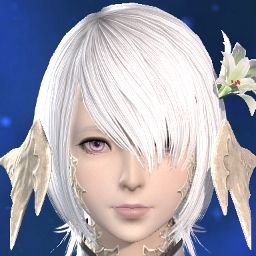 Noa Suifu