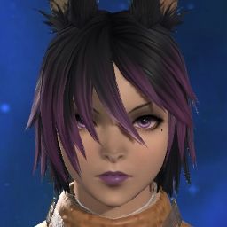 Auron Lionheart