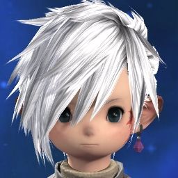 Main Koin