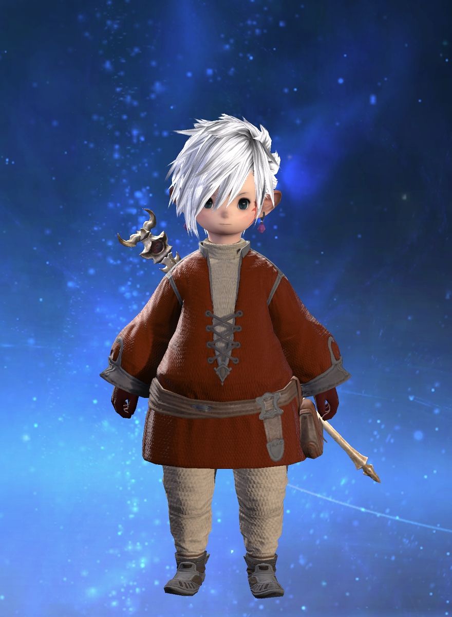 Main Koin