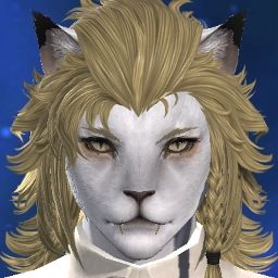 Cheetara Thundera