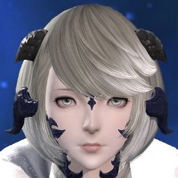 Viti Polarbear