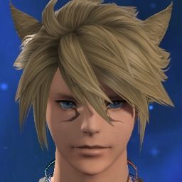 Noctis Covey
