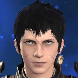 Ater Leonis