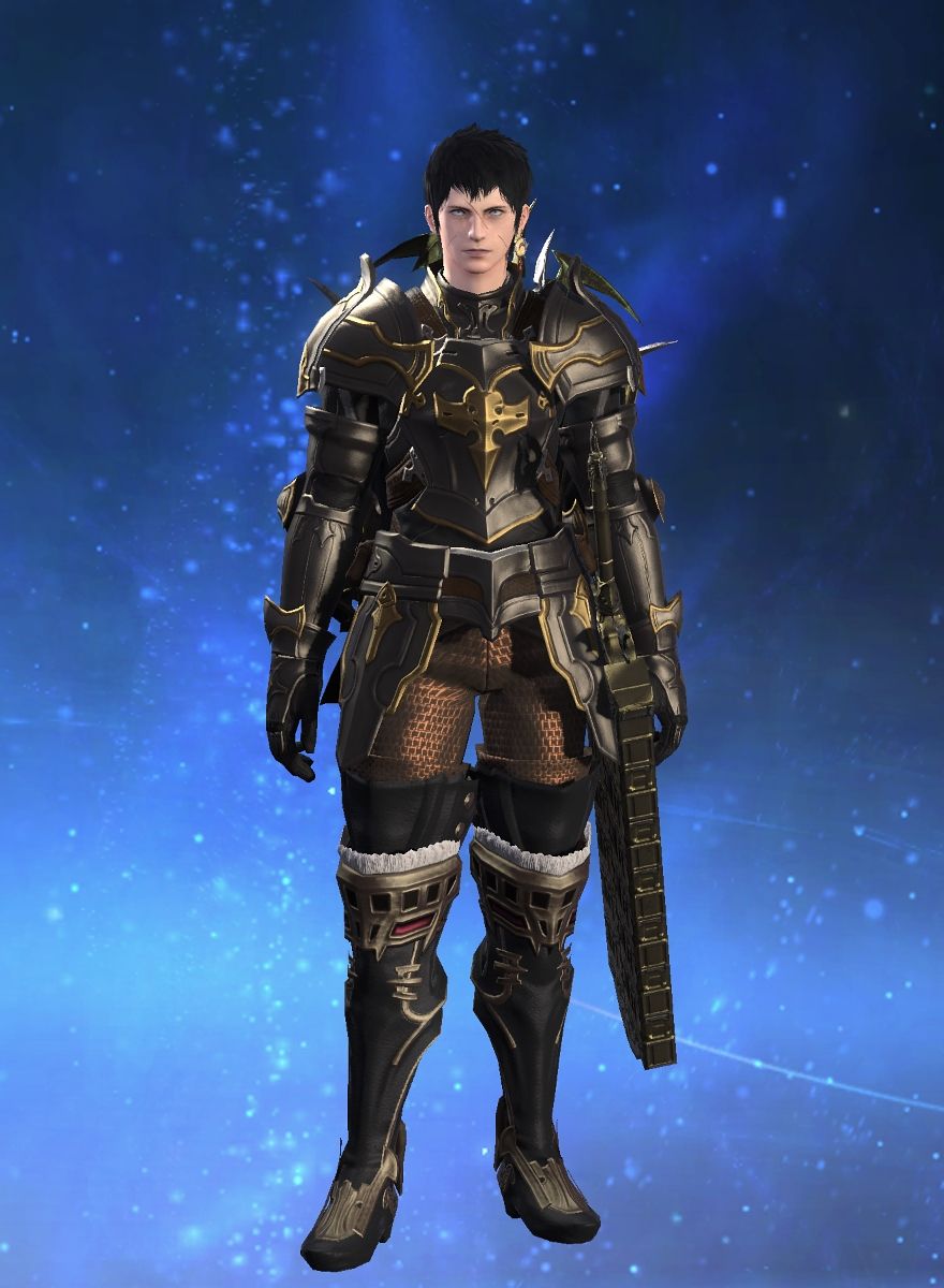 Ater Leonis